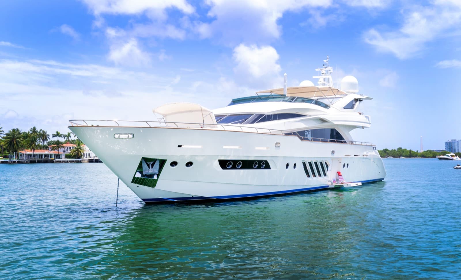 100' Dominator, photo 3