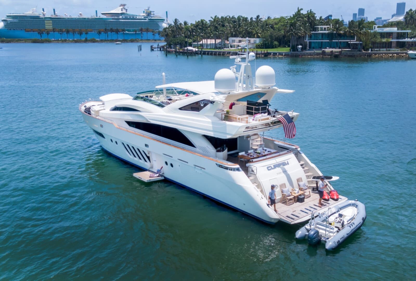 100' Dominator, photo 9