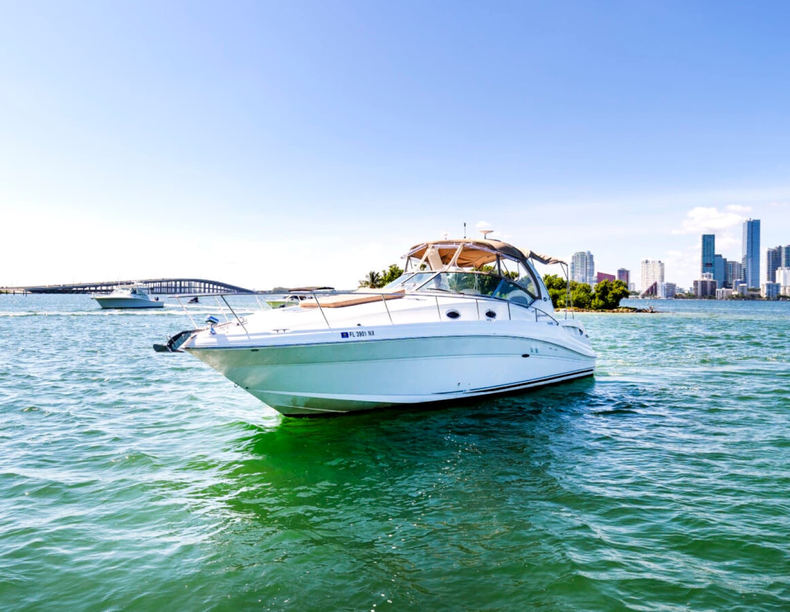 34' Searay Sundancer, photo 2